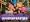 jsq-back2school-website-4.jpg
